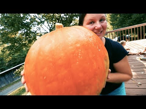 awesome-garden-harvest!