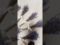 Крымская лаванда (сухоцветы) , мини букетики
