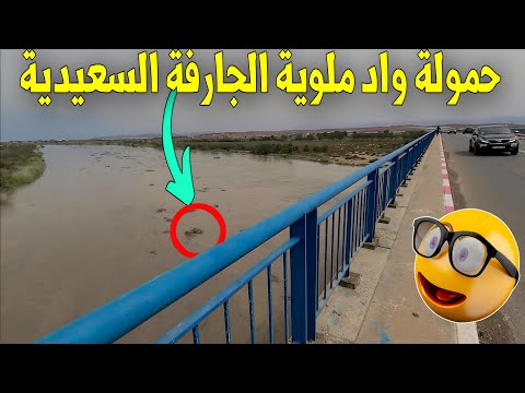 فيضانات جارفة للجهة الشرقية بالمغرب حمولة كبيرة آتية من تاوريرت جرسيف العيون السعيدية بمصب واد ملوية