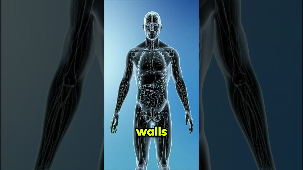 Boost Your Immunity and Glow with the Ultimate Healthy Orange Creamsicle Smoothie—