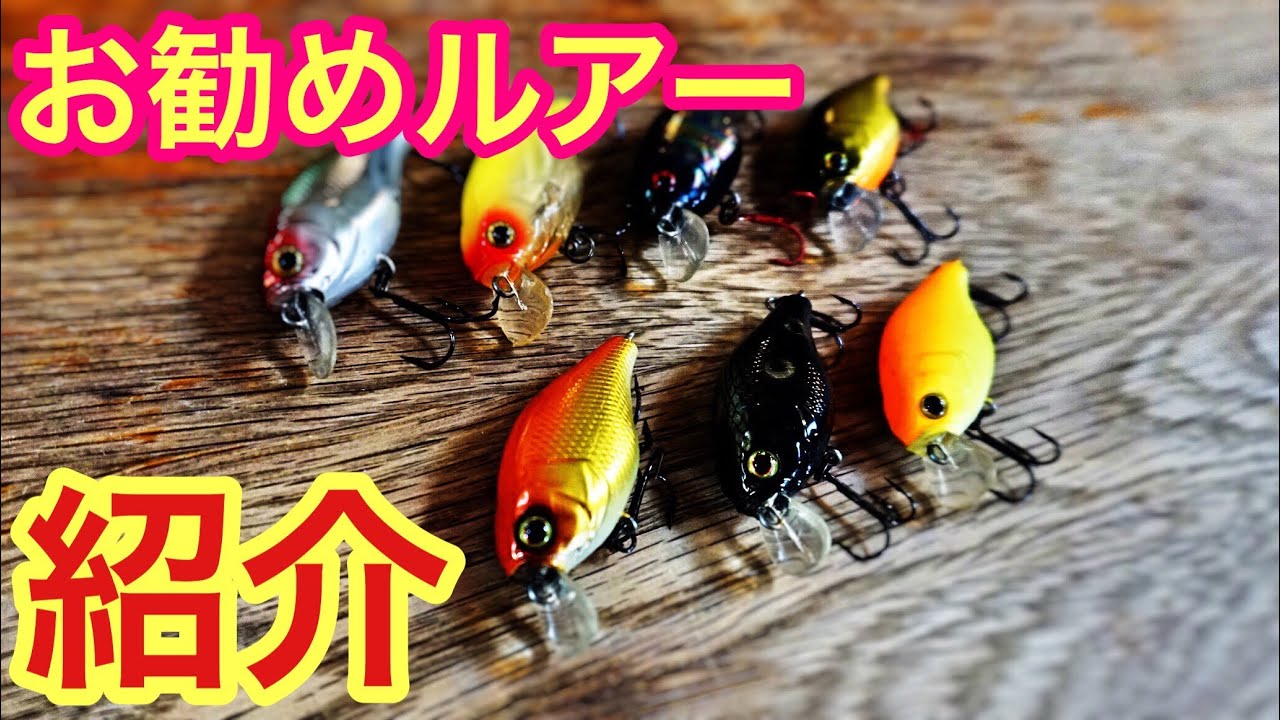 My Favorite Lure! Introducing the JACKALL Cherry! - YouTube