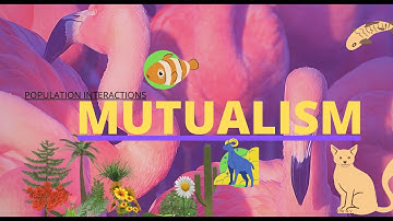 Mutualism population interaction microbial population interactions reptia tube worm