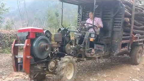 phụ nữ vùng cao lái xe công nông chở gỗ rất mạnh cực kỳ có tài
