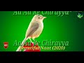 Saif Raza Naat Aa Aa Re || आ आ रे चिरैया आ आ रे चिरैया  chiraiya | #Beautiful Naat in urdu ||(43) Mp3 Song