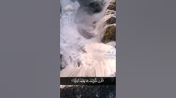 (قَالُوا يَا شُعَيْبُ أَصَلَاتُكَ تَأْمُرُكَ...) سورة هود / القارئ وحيد نظريان