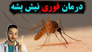 درمان های سریع با وسایل خانگی برای خارش نیش پشه + پیشگیری و درمان های سنتی