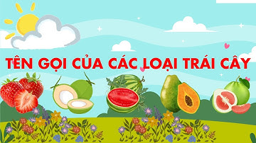 Dạy Bé Gọi Tên Các Loại Trái Cây| Học Tiếng Anh Qua Hình Ảnh Trái Cây