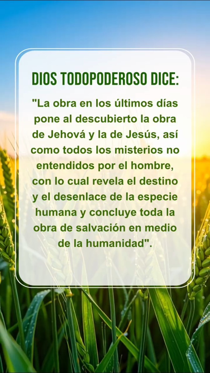 Sosiégate ante Dios y lee Sus palabras para acercarte a Él