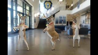 Dancing Reindeer show up on vanguard university!