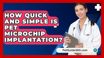 How Quick And Simple Is Pet Microchip Implantation? - PetGuide360.com