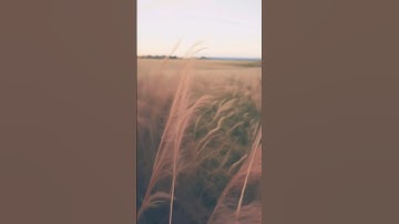 Let The Things cook Again Hard #foryou #cookingvideo #transition #cooking #best #edit #clean #ultra