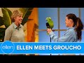 Ellen Meets Groucho the Singing Parrot