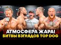 ЭМОЦИИ ЗАШКАЛИЛИ! РЕГБИСТ В ОГНЕ! Битвы взглядов TOP DOG / Чибис VS Варвар, Кантемир VS Мещеркин