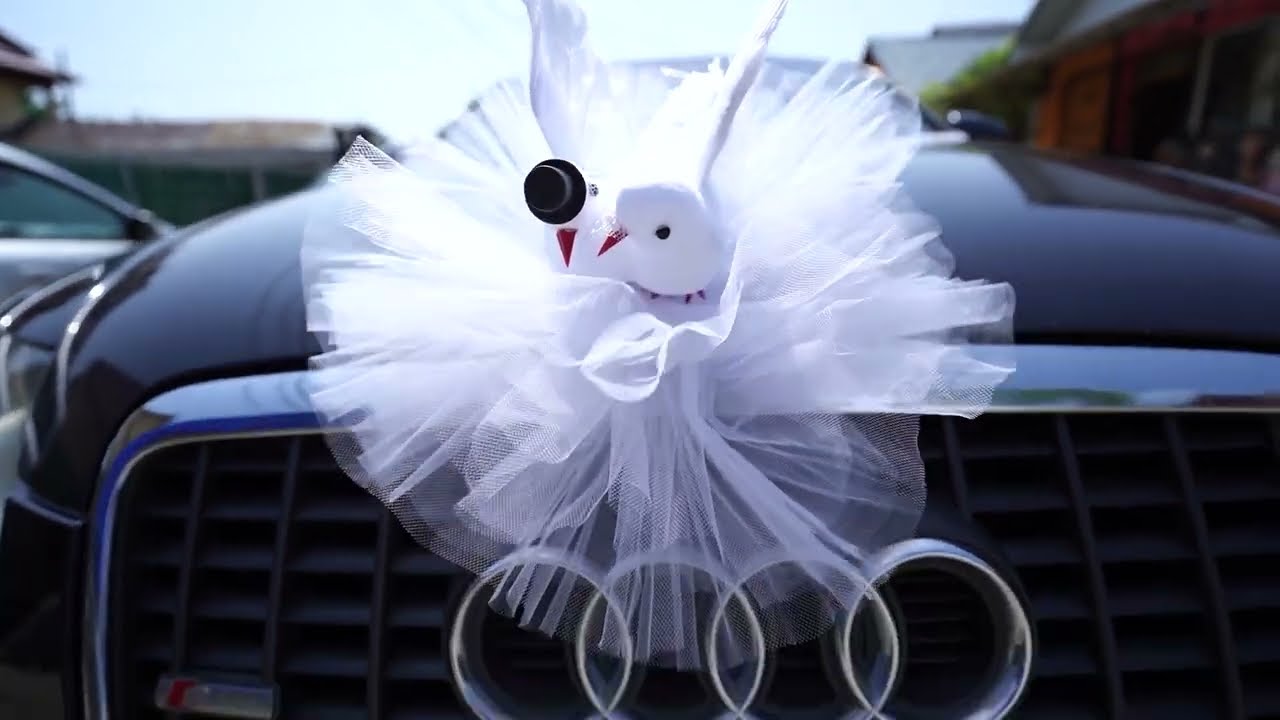 Nunta Mizil  2023-Raul si Sara