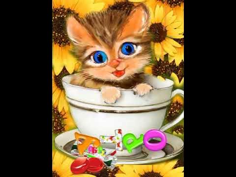 ВСЕМ Доброго утра #котики #кошки #коты #новинка - YouTube