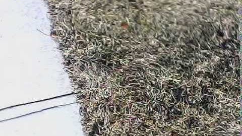 Syma x5c-1 aerial film 2