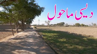 Chandnay Wala To Kot Chutta Village Area Tour
