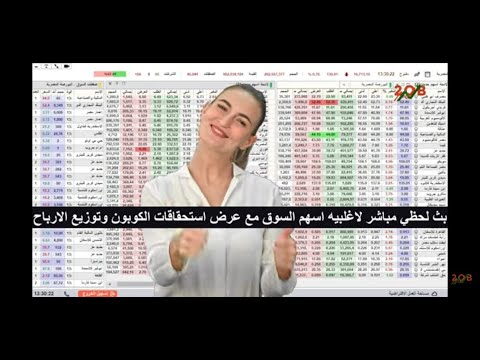 الشاشة اللحظية اليوم الاثنين 24 نوفمبر 2025 البورصة المصرية مباشر بث يومي لحظي بدون تاخير 3