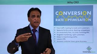 CRO Definition – Getting Started Net Worth