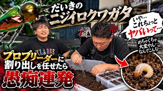 ラクぼっくすワイドを選んだ方、最高です！ - YouTube