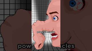 If A Human Had Elephant Anatomy 🐘🫨