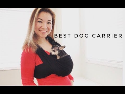 the-best-dog-carrier!--||---petteek-review