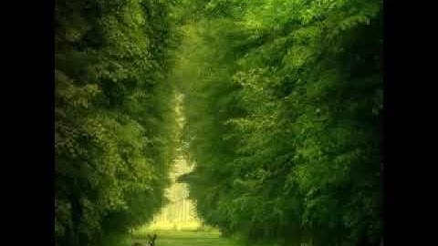 اجمل تلاوة للشيخ احمد العجمي من سورة المزمل