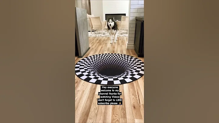 Dogs funny reaction to entering optical illusion rug! #shorts #funny #funnypets #youtubeshorts