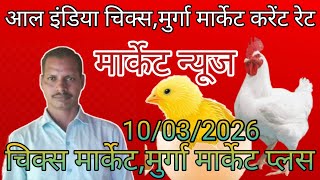 Poultry Rate Today In Uppoultry Rate Todaypoultry Rate Near Mepoultry Rate Perdaily Poultry Rate
