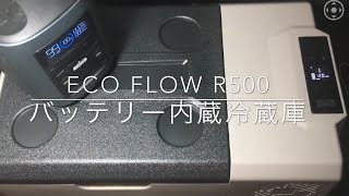 ポータブル電源ECOFLOW R500停電してもポータブル電源が無くても動く。バッテリー内蔵ポータブル冷蔵庫で自宅避難生活に備えて！