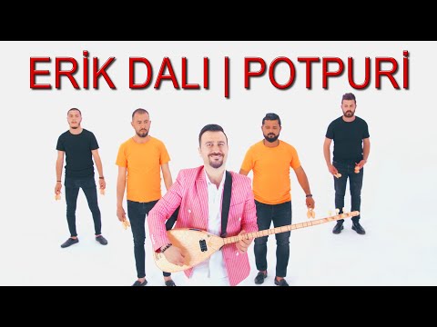 ERTAN ERŞAN - Erik Dalı | POTPURİ Official Video