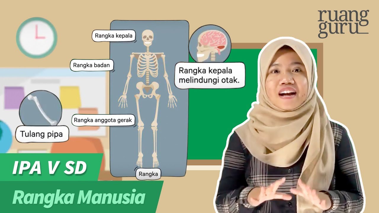 Ruang guru mata pelajaran kelas 5