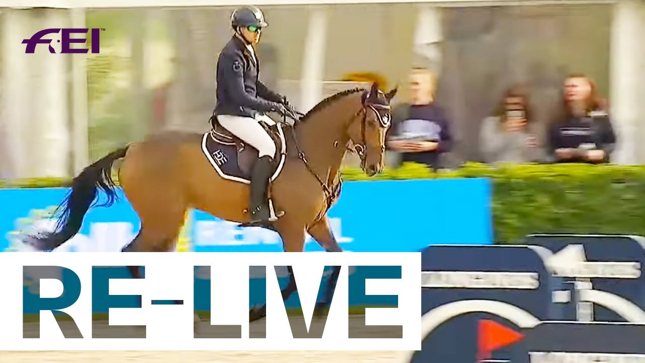 equestrian jumping streaming video