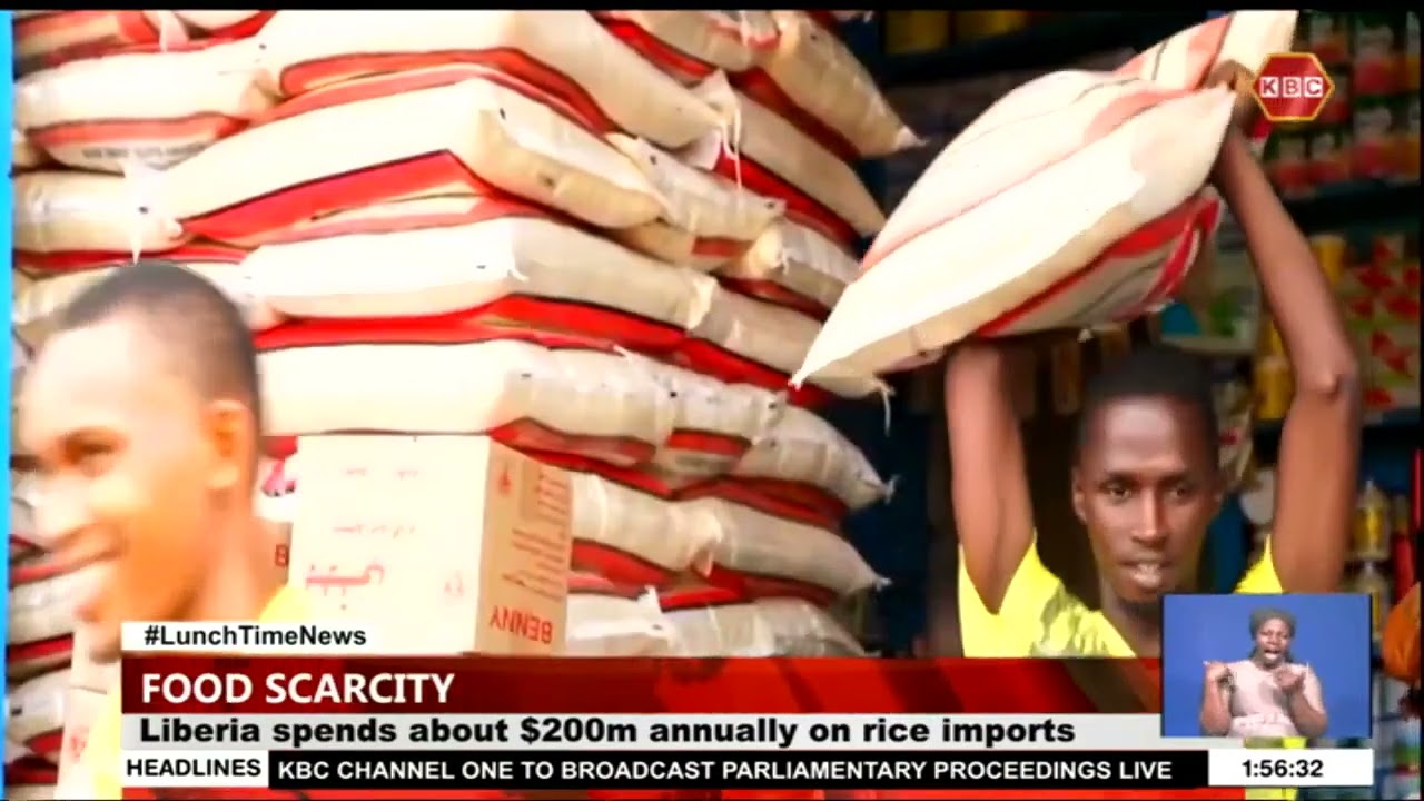 Still from Beef exports from Botswana to resume after ban since August
