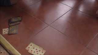 A card game called "a FOOL" or DURAK in Russian. screenshot 4