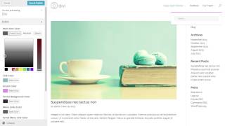 Using The Theme Customizer In Divi