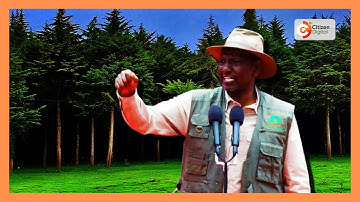 Ruto lifts logging ban to revive timber industry, unveils plan to extend Nairobi–Malaba highway