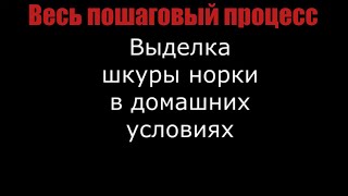 Выделка шкуры норки. Весь пошаговый процесс.