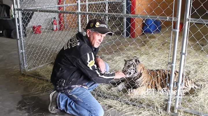 5 years before 'Tiger King,' Jeff Lowe talks about Beaufort SC big cat exhibit plans