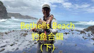 Bethells Beach 钓鱼合辑（下）Rock fishing on the West coast of Auckland 【NZ Lucy Vlog 108】