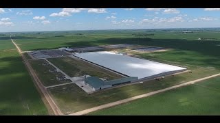 Meadowstar Dairy