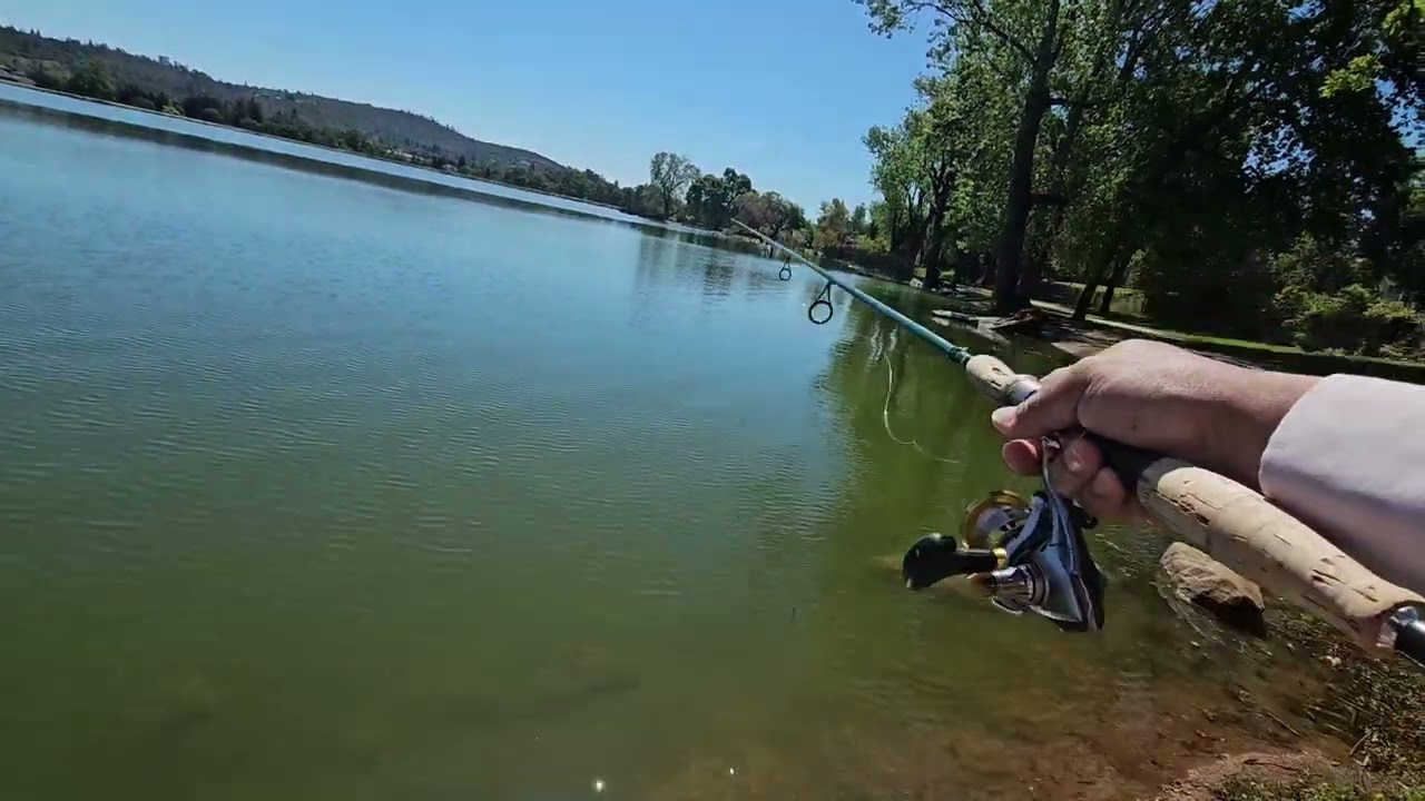 Unexpected catch on a horrible cast… Bass Fishing