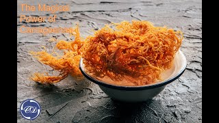 The Magical Power Of Carrageenan