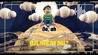 Sefo-Bilmem mi? |Karaoke Resimi