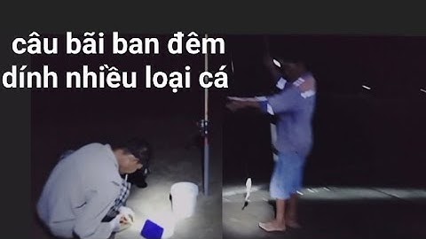 câu đêm bãi biển vũng tàu, nhiều loại cá ăn câu lắm nha