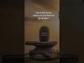 har har mahadev #shorts #mahadev #trending #youtubeshorts #shortsfeed