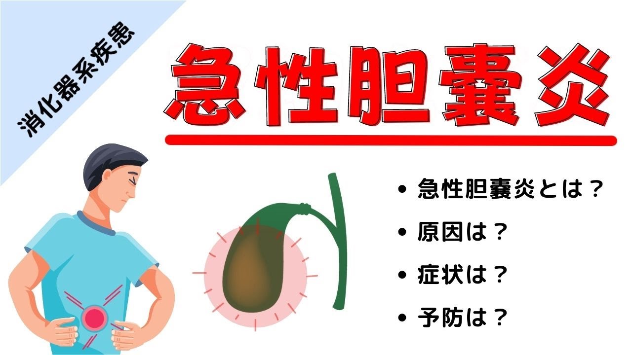 胆嚢結石痛み – 胆嚢 結石 症状 – SKQG