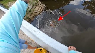 Change the Game of Crabbing with DROP NETS