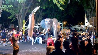 Juara Festival Takbir Jamasba Bantul 1436H 2015