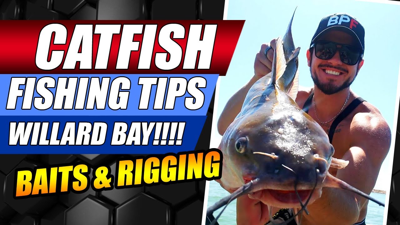 Catfishing Catfish Fishing Tips And Techniques Willard Bay Fishing